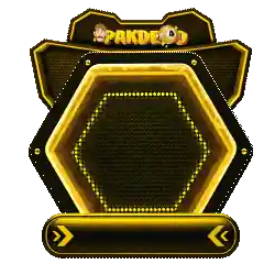 Instagram PAKDE4D